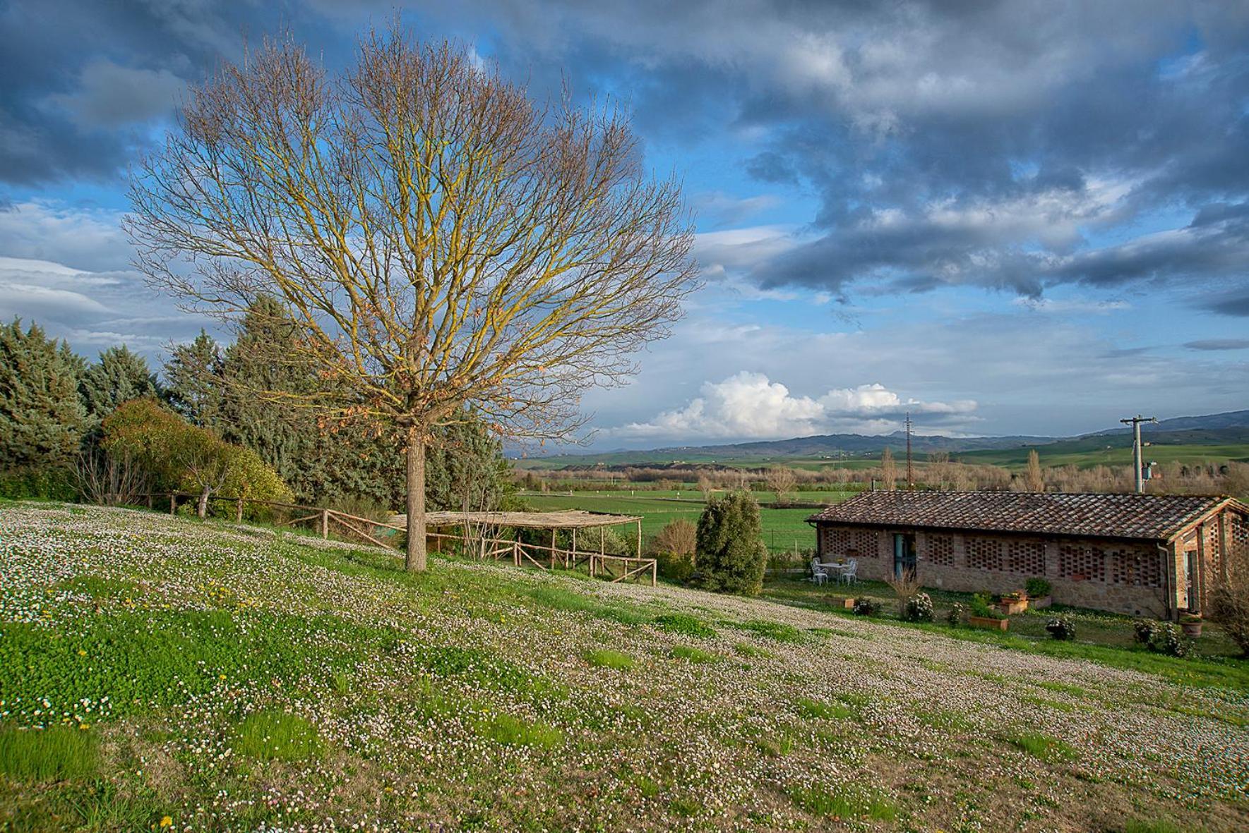 Agriturismo Le Sorbelle D'Orcia Con Piscina Пиенца Екстериор снимка