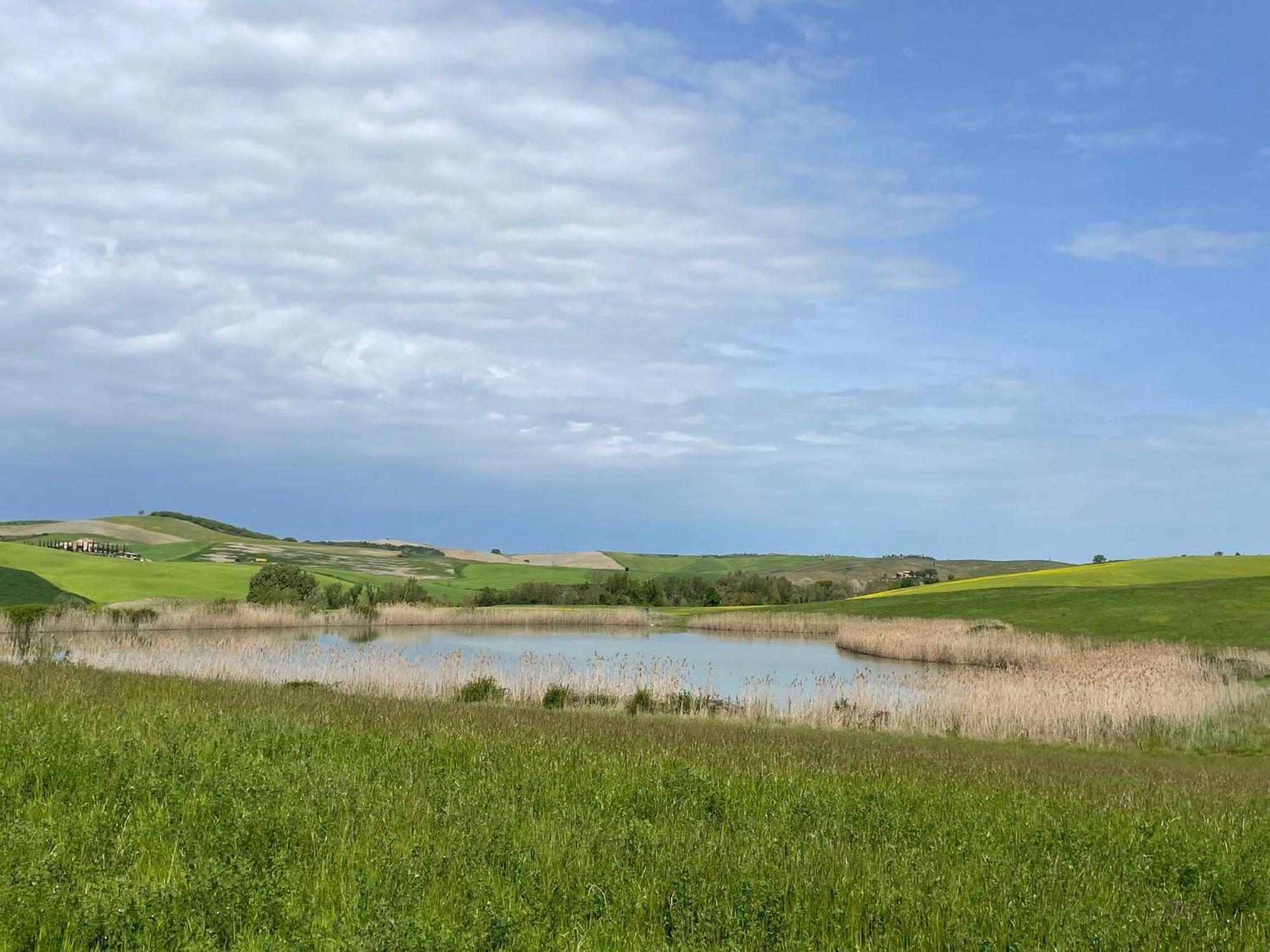 Agriturismo Le Sorbelle D'Orcia Con Piscina Пиенца Екстериор снимка
